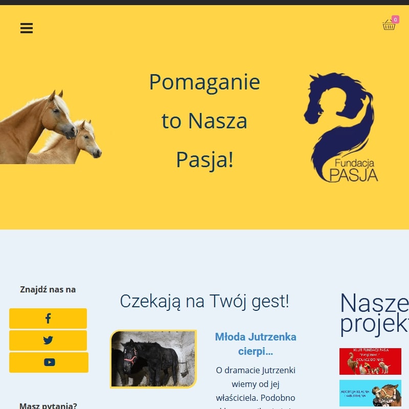 Pomoc zwierzętom organizacje