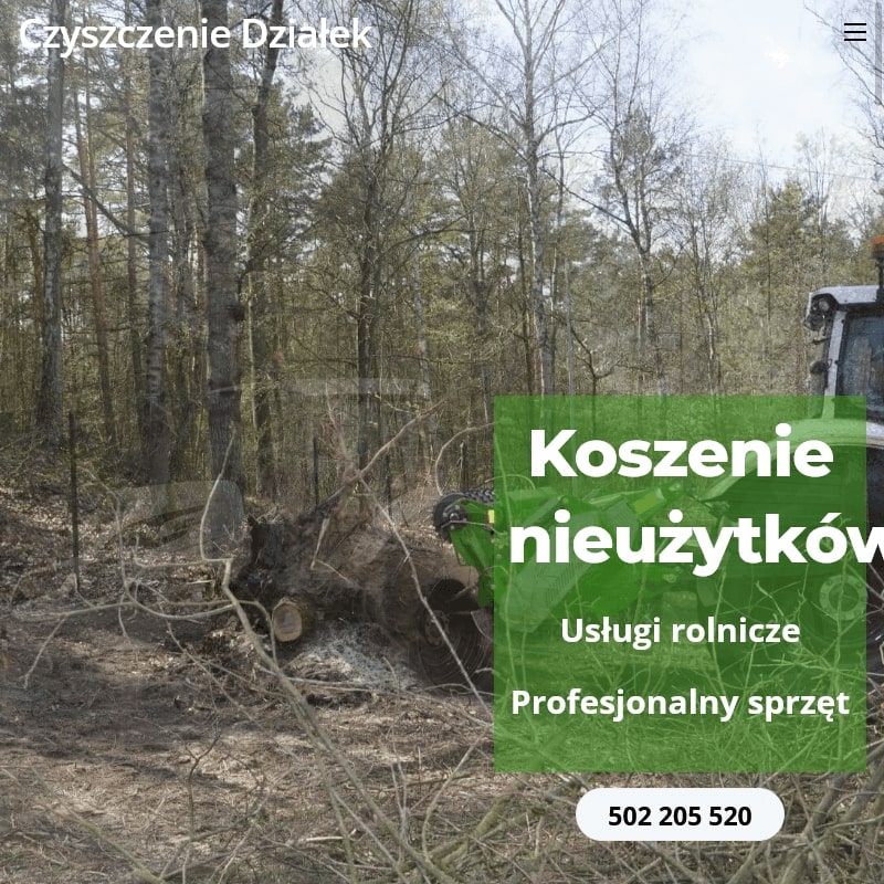 Wycinka drzew cennik mazowieckie w Warszawie