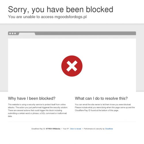 Szarpak dla dużego psa