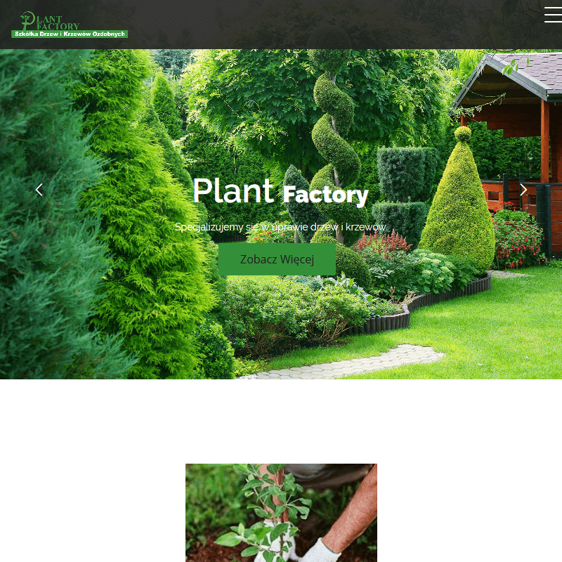 Drzewa do ogrodu przydomowego - Grójec